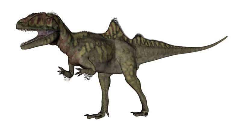 La mayoría de los dinosaurios extraños - Stygimoloch