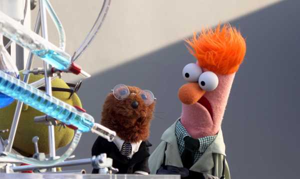 Muppets Now Disney Plus fecha / hora de lanzamiento, Muppets Now Cast 1